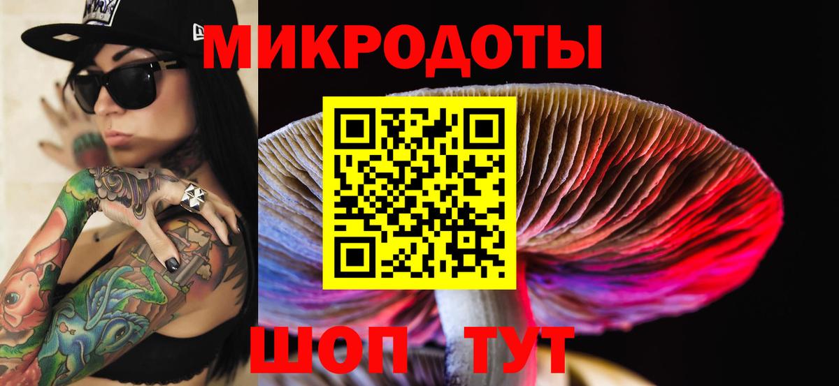 Псилоцибиновые грибы Cubensis Южноуральск